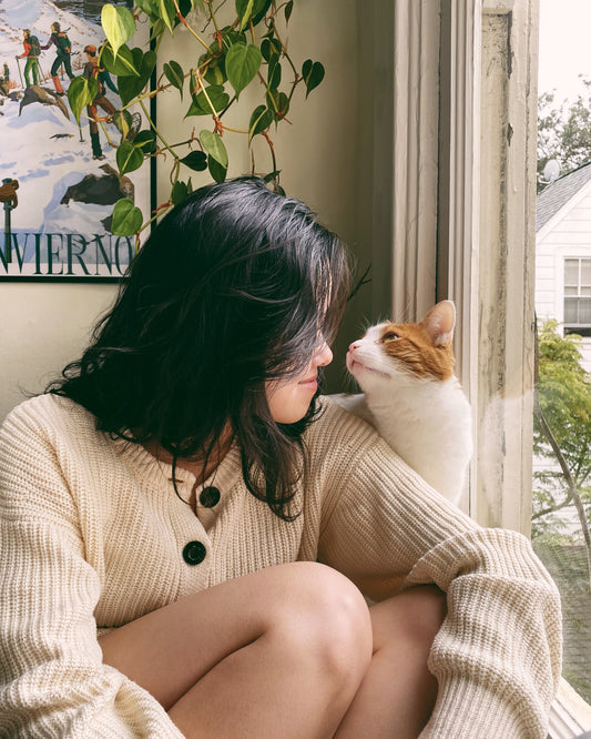 Sleeping Cat Vinyl Sticker