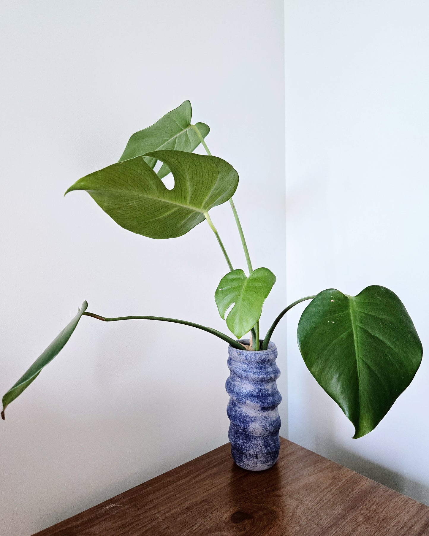 Swirly Vase 1