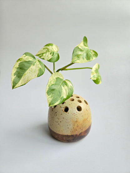 Pebble Frog Vase - Chai