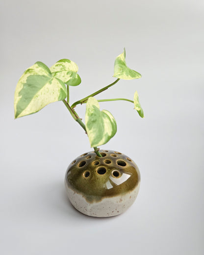 Pebble Frog Vase - Moss