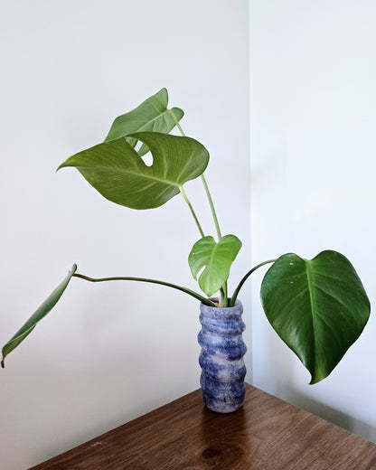Swirly Vase 1