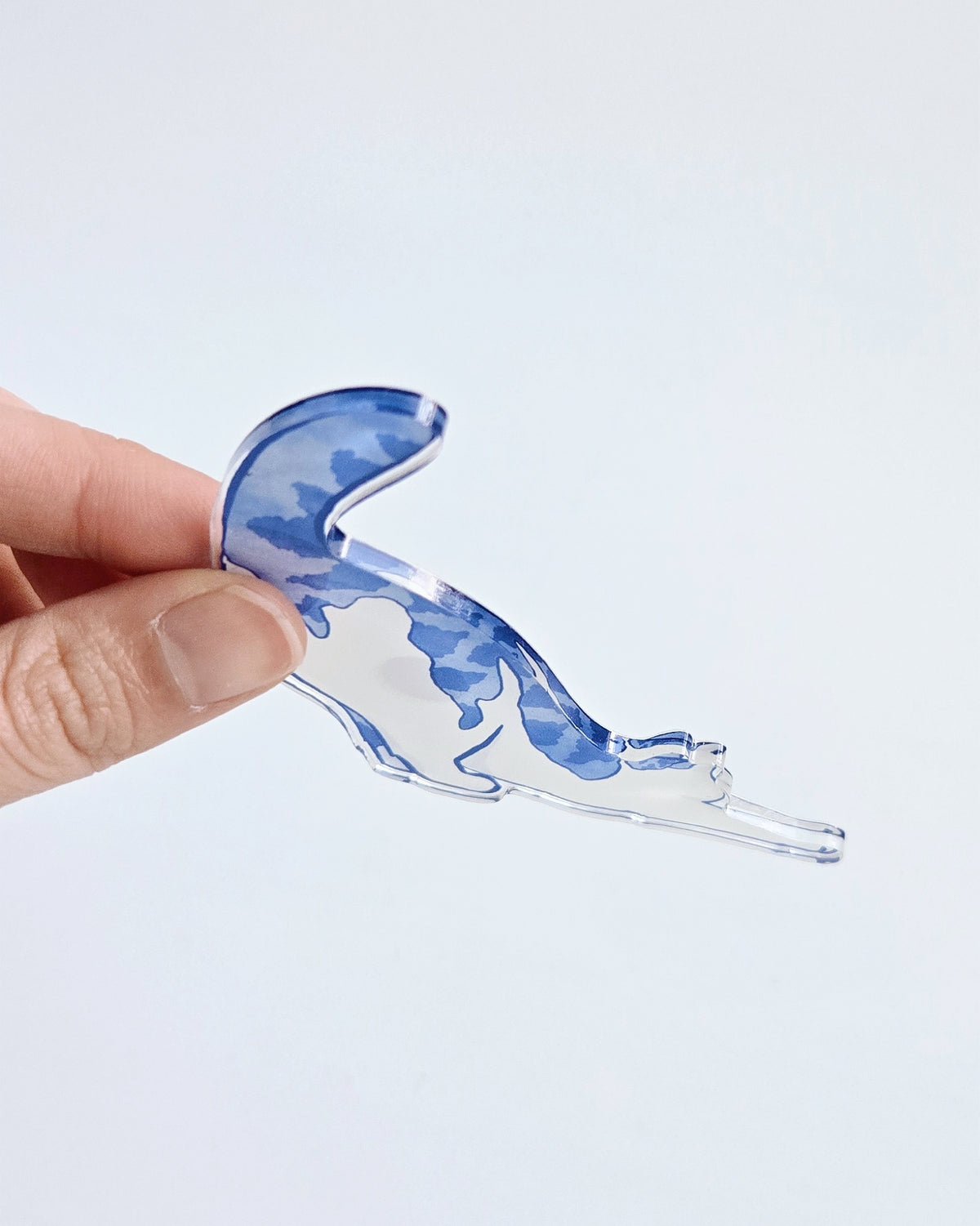 Big Stretch Magnet